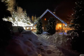 Wooden house in the heart of the Giant Mountains with own hill Vichova Nad Jizerou